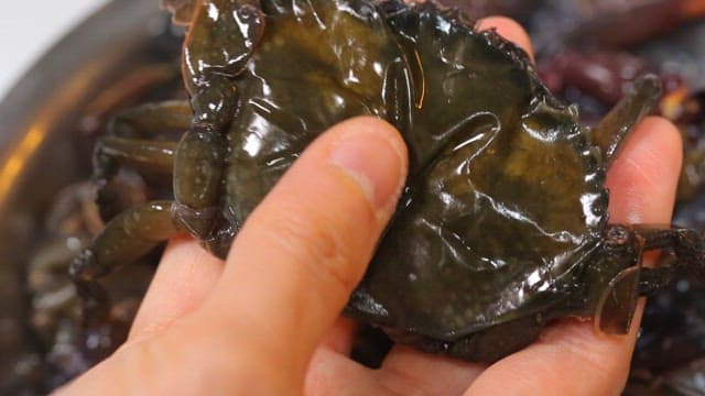 신선한 소프트 쉘 크랩을 들고 있는 사람