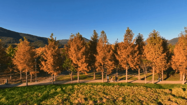 가을 나무가 있는 공원에서 걷는 사람들