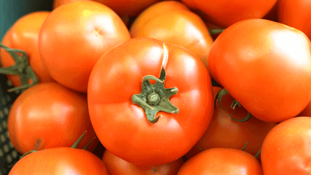 Fresh tomatoes piled together