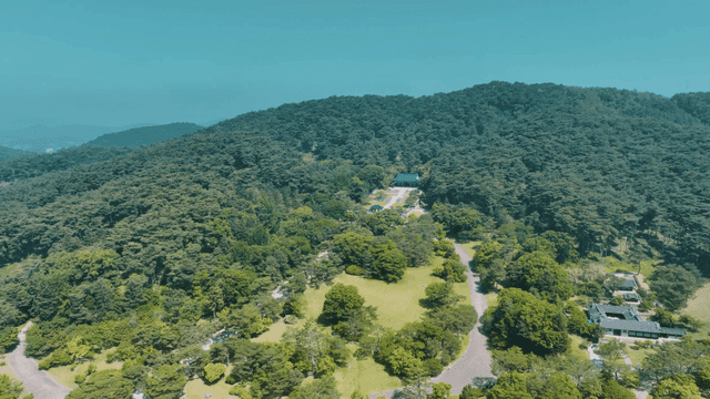 Green forest with traditional shrine in view