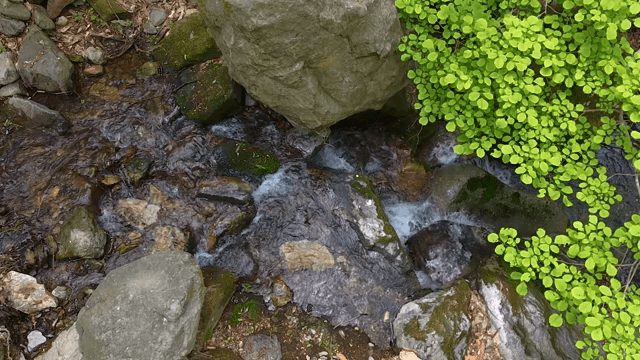 Small stream flowing over rocks