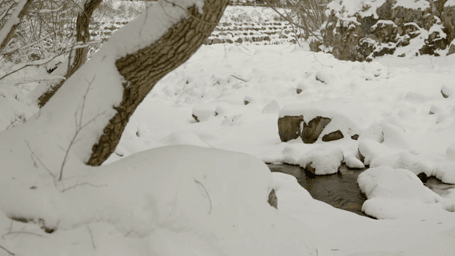 작은 개울이 있는 눈 덮인 풍경