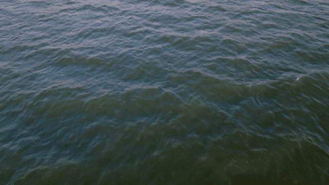 다리 구조물이 보이는 잔잔한 바다