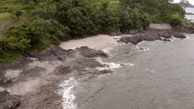 파도와 녹음이 있는 바위 해변