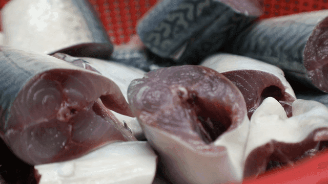 바구니에 담긴 신선한 고등어 조각