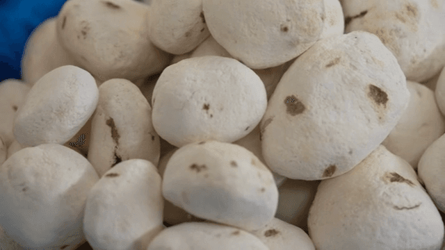 바구니에 담긴 동결 건조된 감자 더미