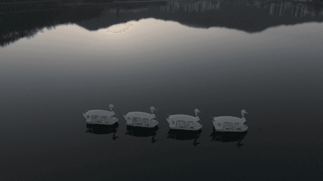 Swan boat on calm lake