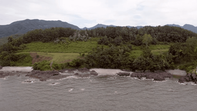 푸른 숲이 있는 고요한 해변