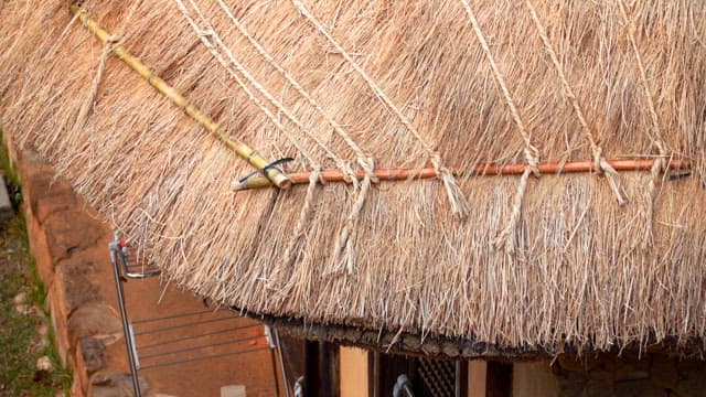 Detailed traditional thatched roof of rural house