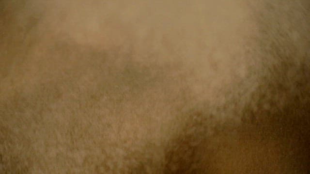 곱게 갈린 가루가 떨어지는 모습