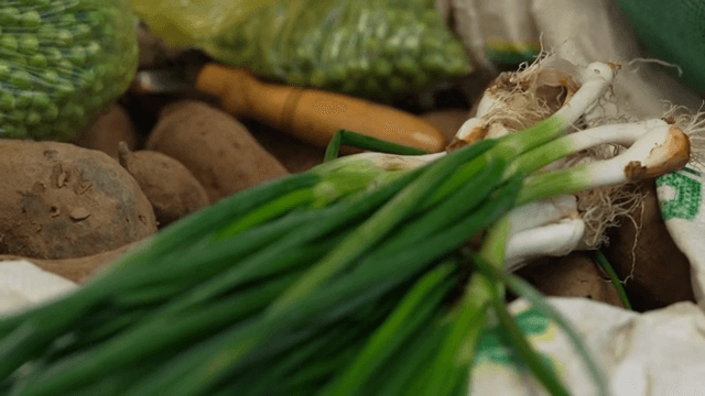 Green onions on display at the market