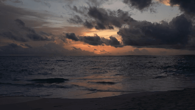 A serene beach with waves at sunset