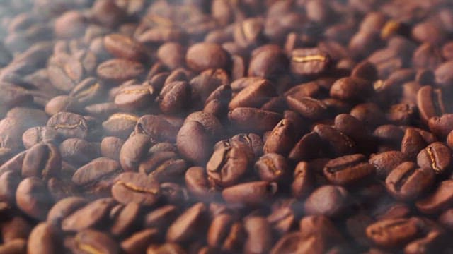 김이 모락모락 나는 갓 볶은 커피콩