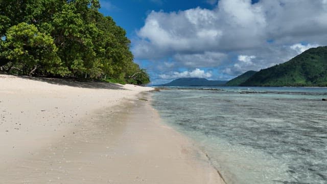 맑은 물과 푸른 숲이 있는 고요한 해변