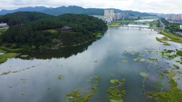 강과 도시 풍경이 어우러진 자연과 도시의 조화