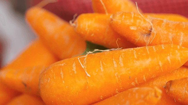 신선한 당근이 쌓여 있는 모습