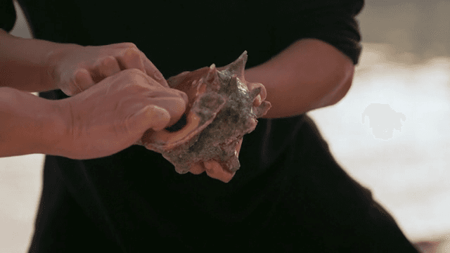 신선한 소라를 손질하는 사람