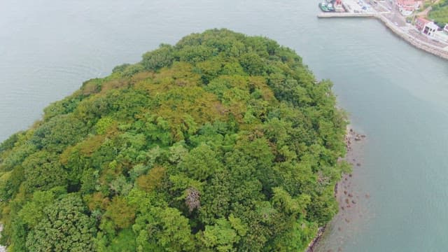 Coastal city with island and buildings