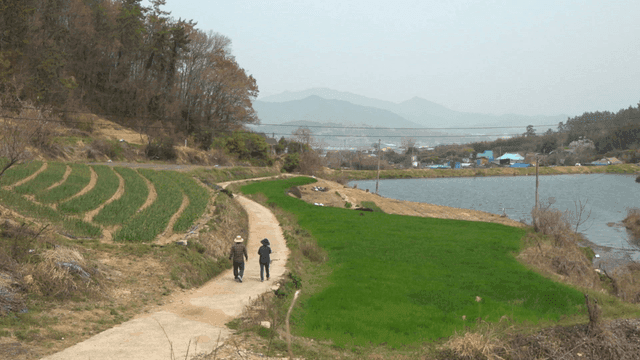 Backs of two people walking along country road next to field