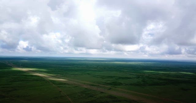 Vast green plains under cloudy skies