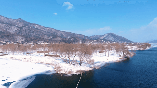 눈 덮인 숲 풍경