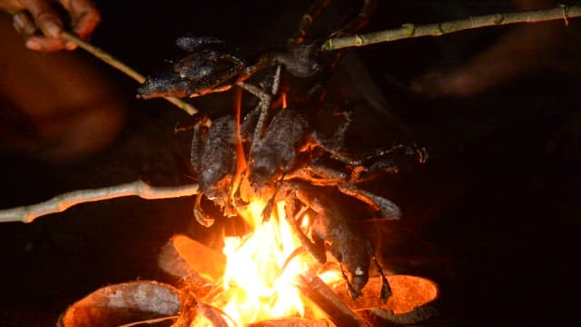 Prepared birds being roasted over an open fire