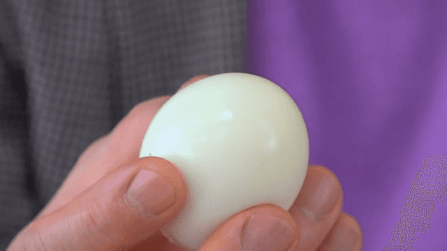 삶은 달걀을 들고 있는 손