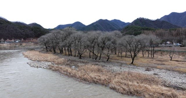 Peaceful river landscape surrounded by mountains and trees