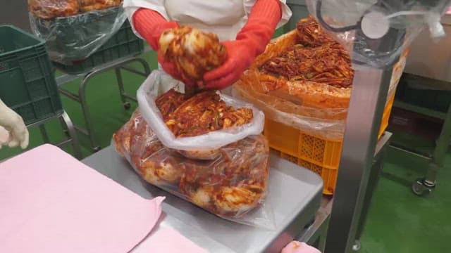 Person preparing and packaging traditional kimchi