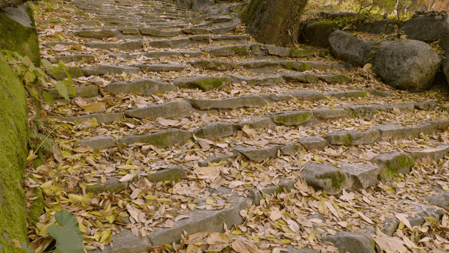 Stone steps covered with autumn leaves