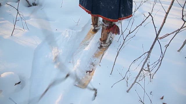 Walking Through a Snowy Forest Wearing Snowshoes