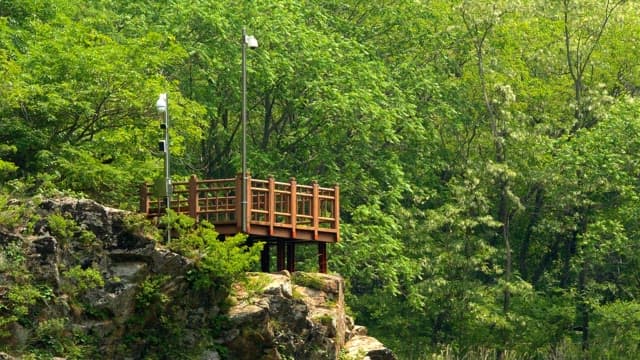 Observation deck on a rocky cliff surrounded by lush green forest