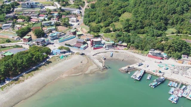 Coastal village with boats and greenery