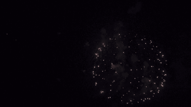 선명한 색으로 밤하늘을 밝히는 불꽃놀이