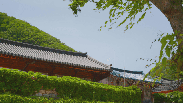 산을 배경으로 한 전통 한국 절