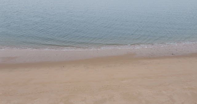 파도가 밀려와 부서지는 평화로운 해안가