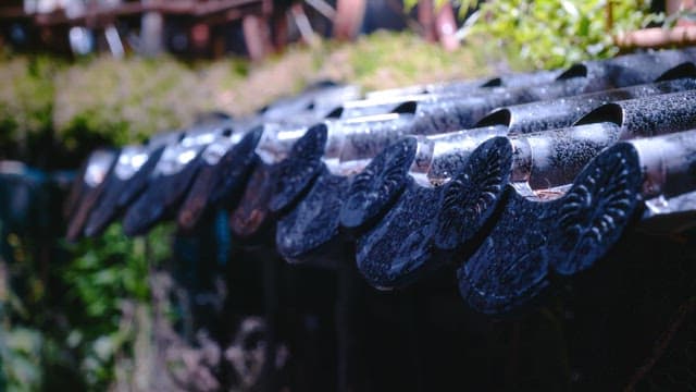 울창한 녹지와 전통 기와