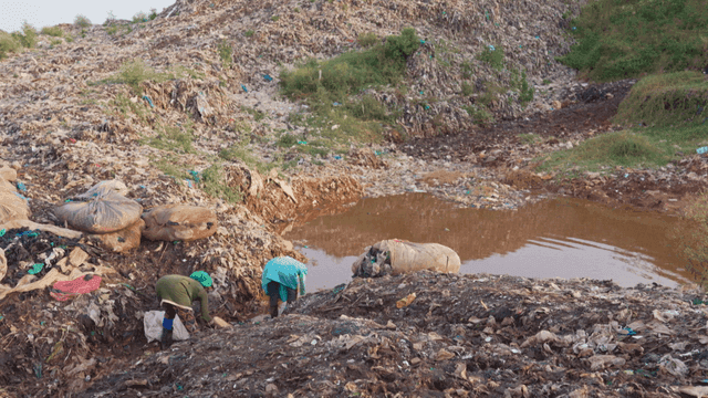 Landfill with people collecting waste