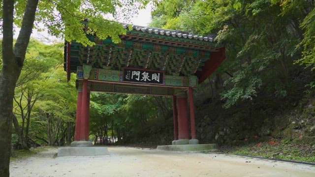 Traditional Korean Gateway in a Lush Forest