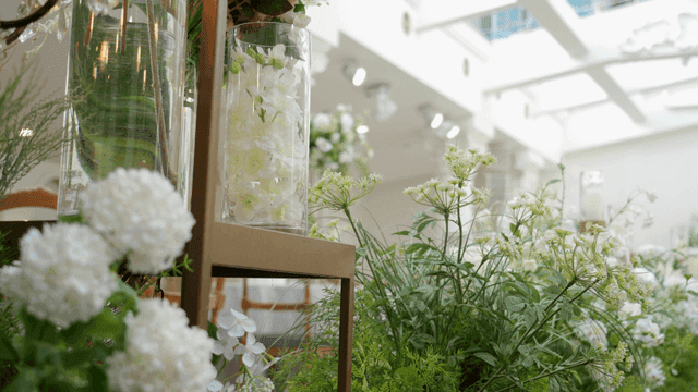 흰 수국이 있는 실내 정원