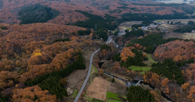 가을 숲과 시골 풍경