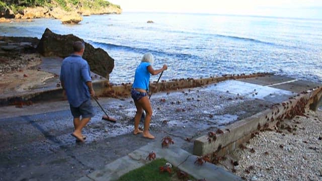 해안가 항구에서 출항을 준비하는 보트