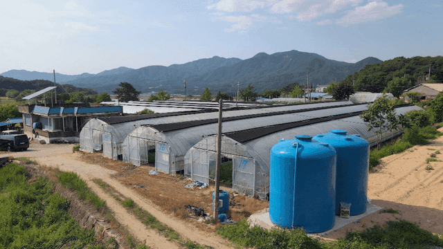Greenhouses and blue tanks in rural area