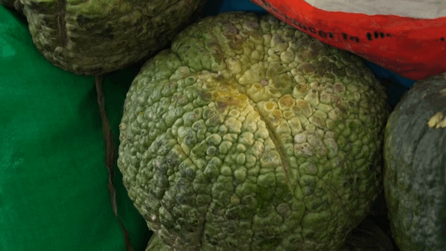 시장에 진열된 호박의 껍질