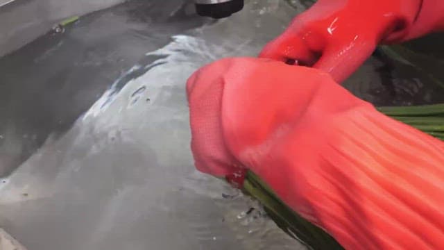 Washing green onions in a sink with rubber gloves