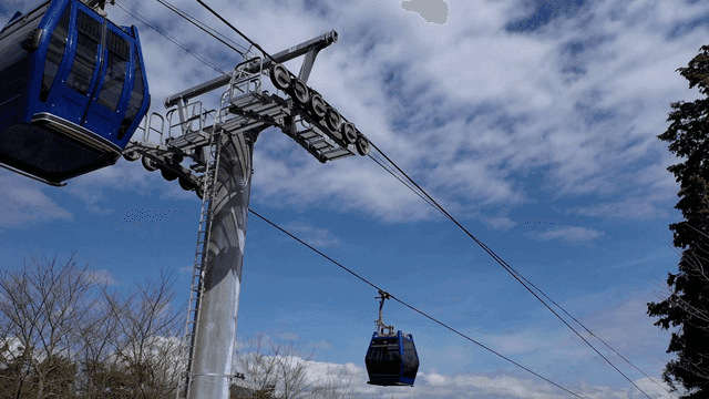 Cable cars moving under a blue sky