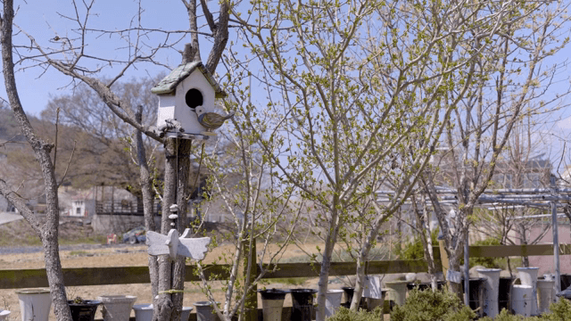 Birdhouse on a tree in a garden