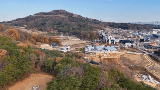 숲이 있는 시골 지역의 경치