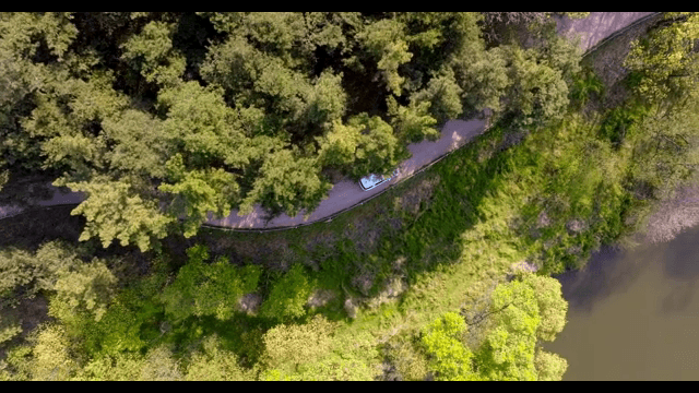 Car driving on the road near the forest