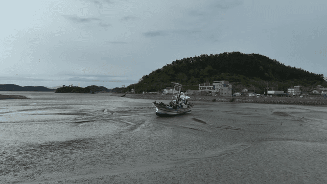 Fishing boats stranded on a muddy shore